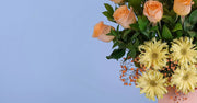 Peachy Waves Flower Pot
